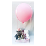 Baby Shower
